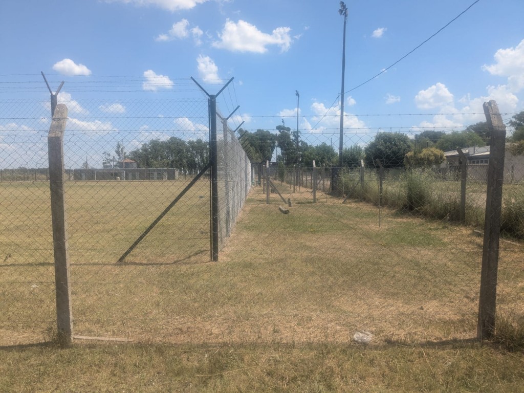 Saladillo: Jacobo Urso avanza con las obras en su predio