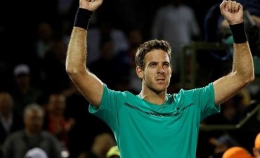 Del Potro superó a Haase y se viene un partidazo ante Roger Federer