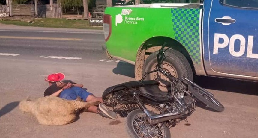 Un hombre y un cordero huían en moto por la Ruta 205