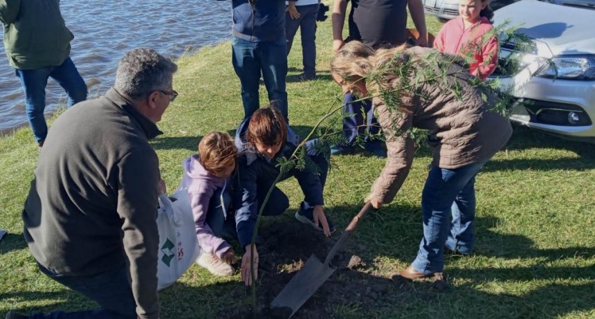 Árboles en la Laguna Indo Muerto en el marco del Proyecto de Guillermo Ni Coló