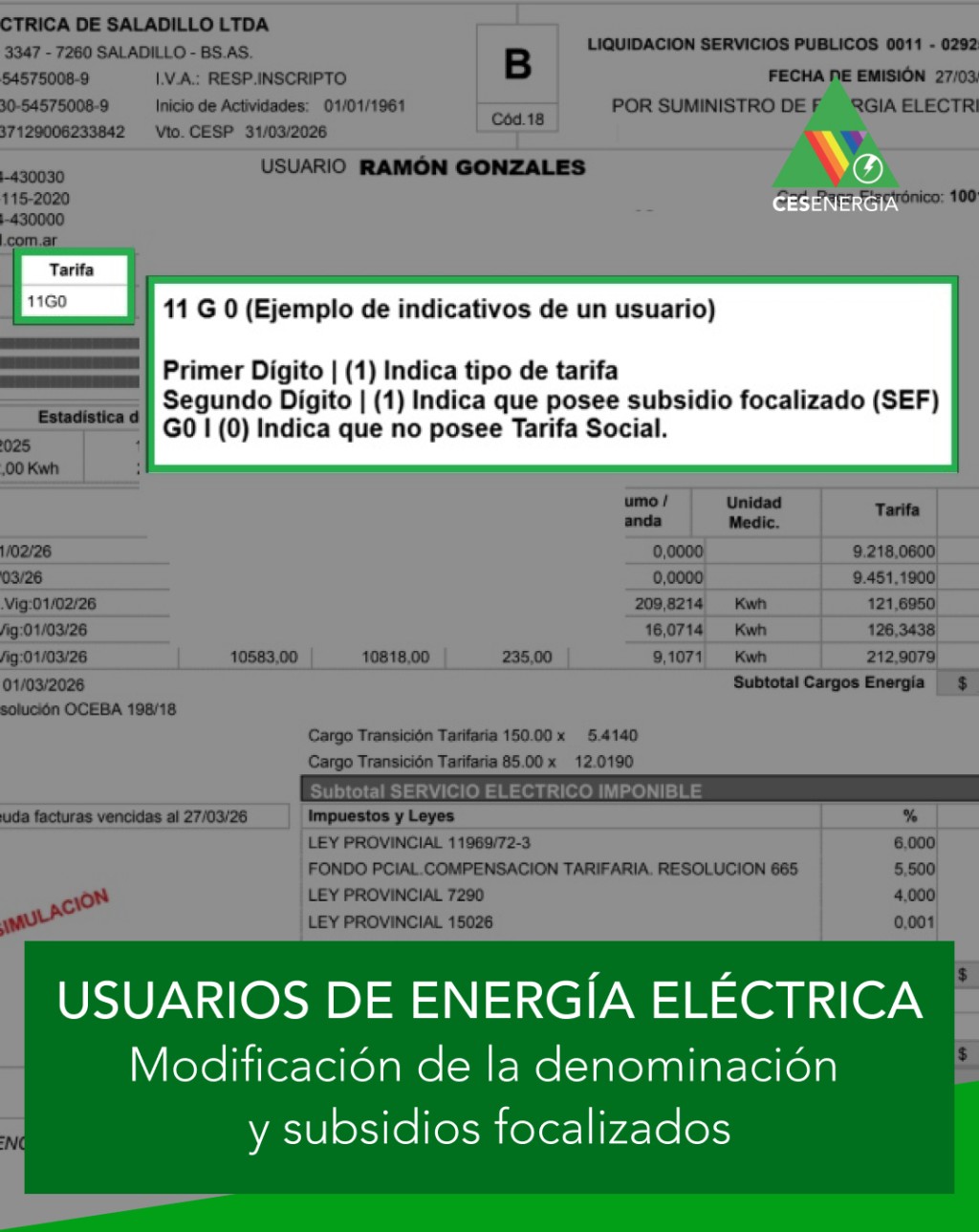 USUARIOS DE ENERG&Iacute;A EL&Eacute;CTRICA: Modificaci&oacute;n de la denominaci&oacute;n y subsidios focalizados