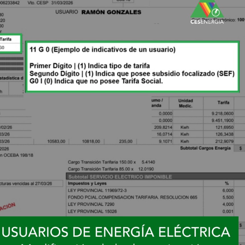 USUARIOS DE ENERG&Iacute;A EL&Eacute;CTRICA: Modificaci&oacute;n de la denominaci&oacute;n y subsidios focalizados