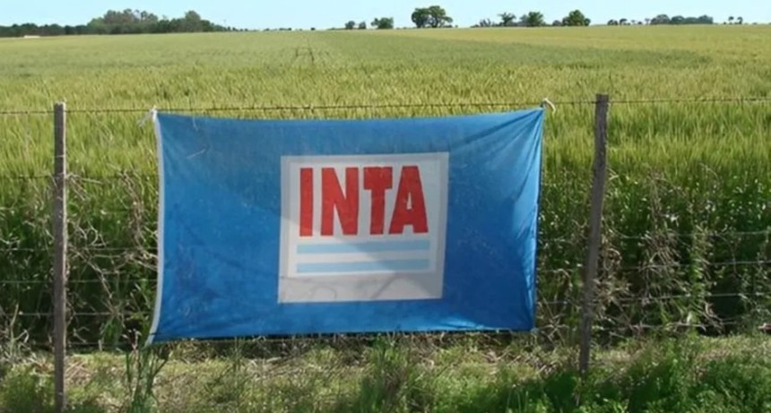 Milei cierra 14 agencias del INTA incluida la de Saladillo