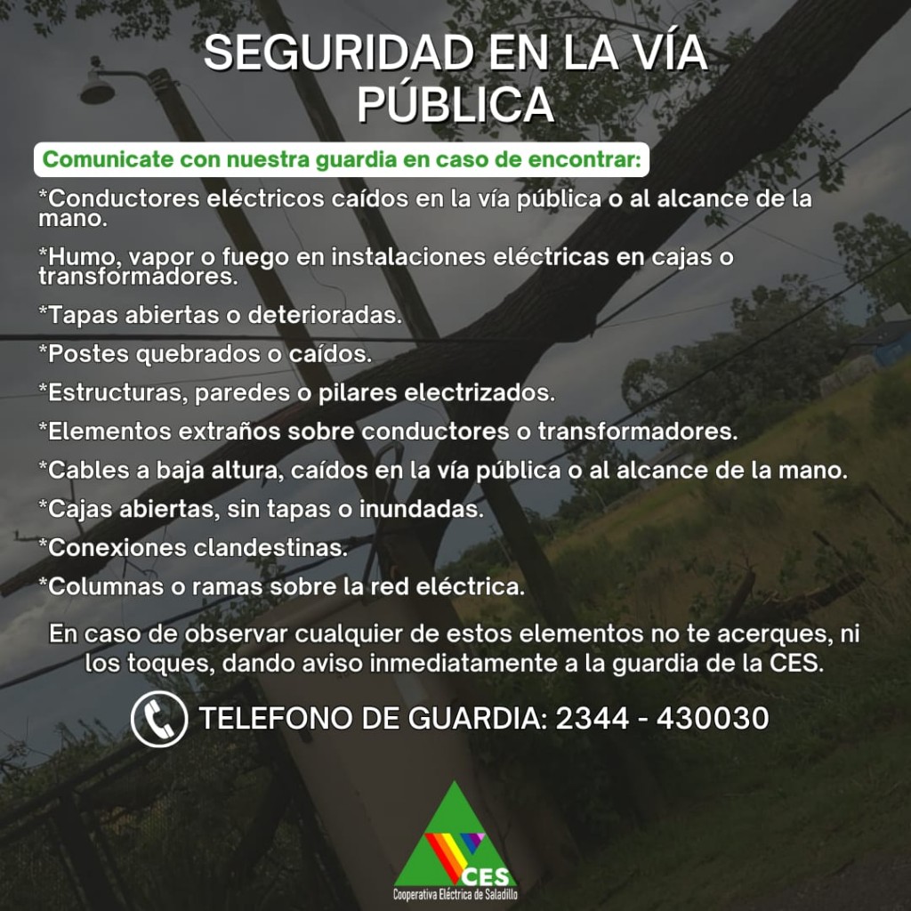 Sugerencia de la CES: Seguridad en la vía publica 