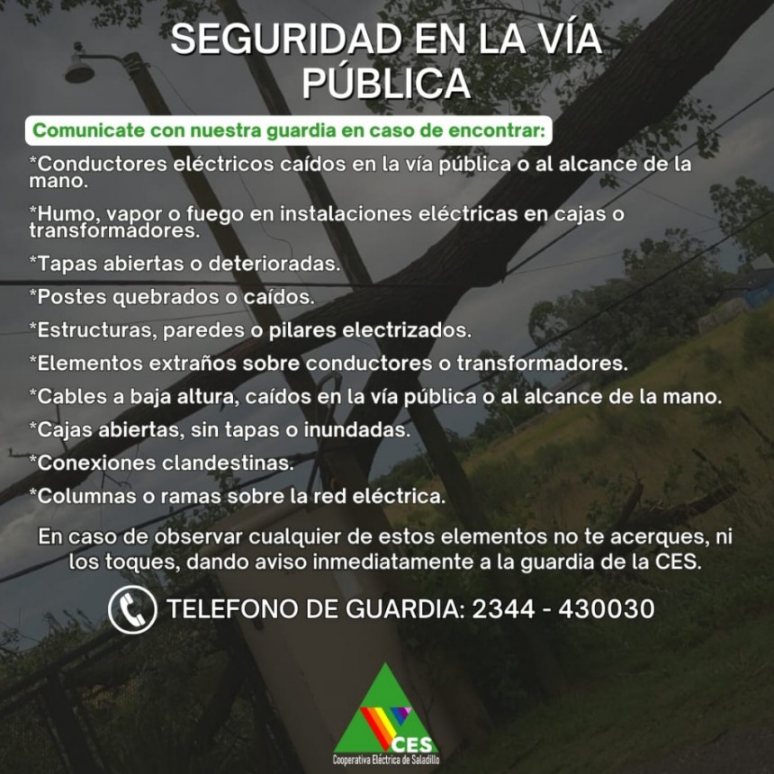 Sugerencia de la CES: Seguridad en la vía publica 