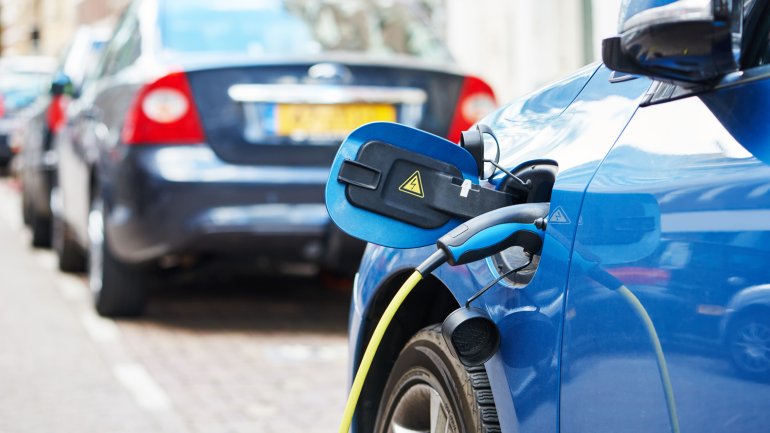 Cada jugador del Leicester campe&oacute;n recibi&oacute; un "auto verde"