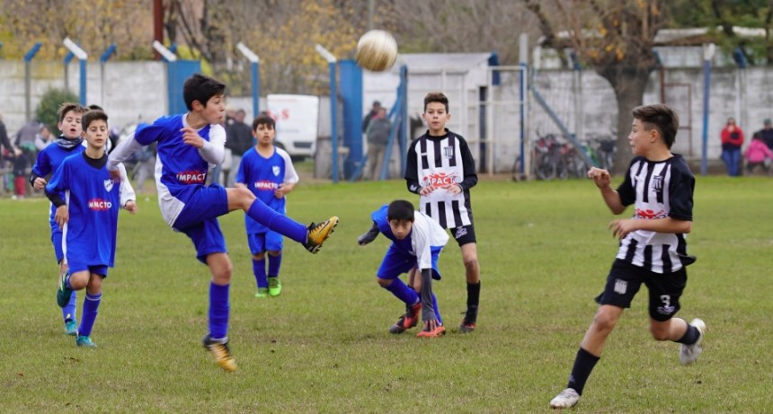 Programa de la décima primera fecha del Torneo de Inferiores