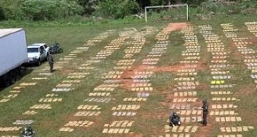 Secuestran más de 9 toneladas de marihuana en un camión que llevaba pollos