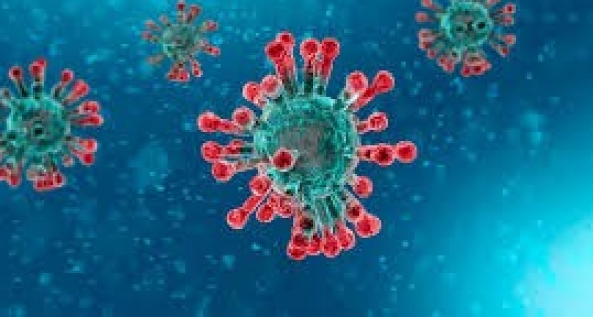 Informaron 16.447 nuevos casos de coronavirus en el país y el total asciende a 840.915