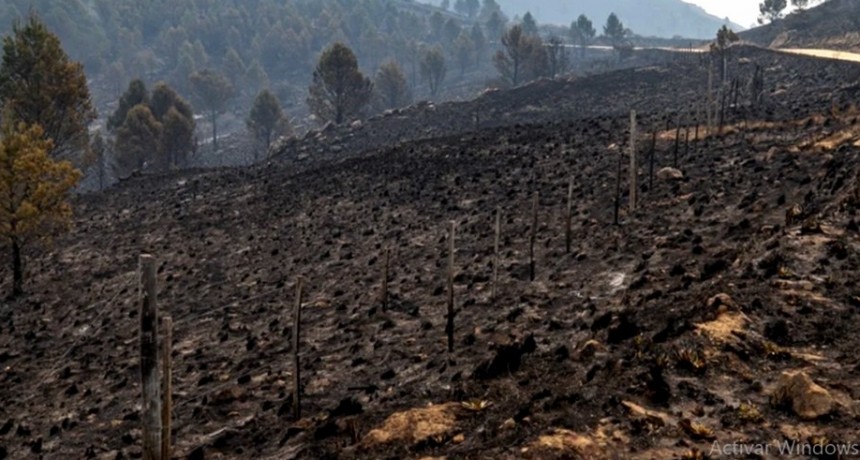 Gracias a las lluvias, se extinguieron todos los focos activos en Córdoba