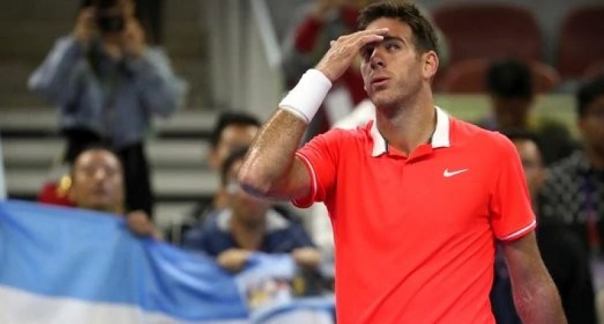 Juan Martín del Potro rompió el silencio tras su lesión y reveló qué será de su futuro